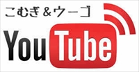YouTube_4.jpg