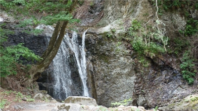 幣掛の滝