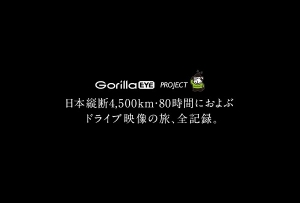 gorillaeye9.jpg
