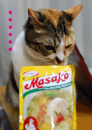 Masako (2)