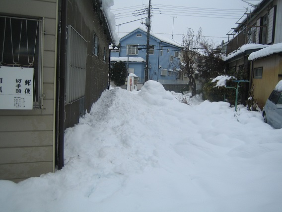 140215_大雪-4