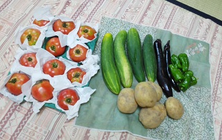 2014-7-20　夏野菜