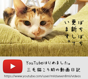 Youtubeはじめました。三毛猫ころ助の動画日記