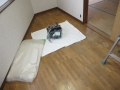 埼玉県所沢市　空き室賃貸物件原状回復２ＤＫクロス張替え　クロス張り　作業風景　１