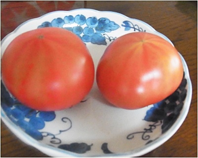 pageトマトお皿