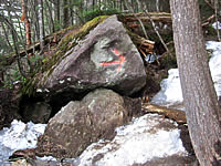 岩と雪の男体山
