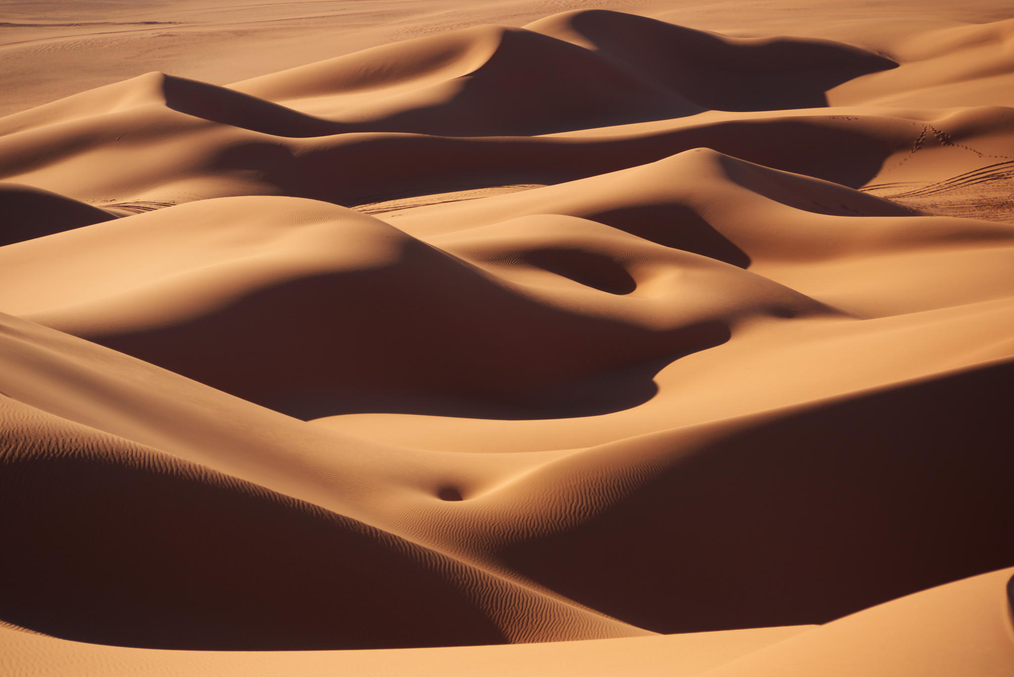 サハラ砂漠の滑らかな砂丘リビア