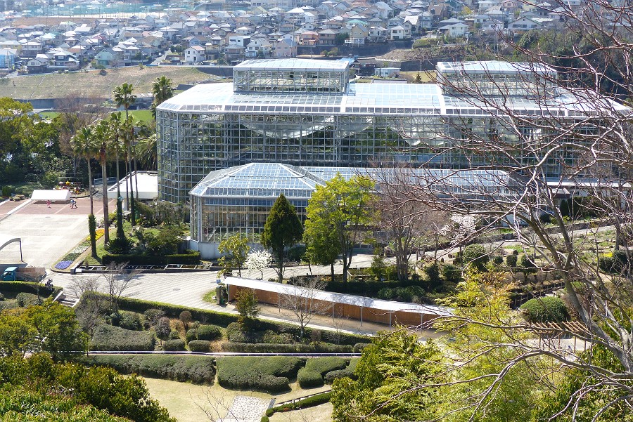 好きな食べ物はハマチです 広島市植物公園に行ってきた その２ 大温室前半